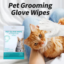 Charger l&#39;image dans la galerie, Gants Lingettes Nettoyantes
