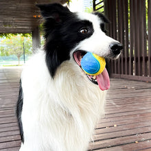 Charger l&#39;image dans la galerie, Balle Interactive pour Chien
