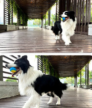 Charger l&#39;image dans la galerie, Balle Interactive pour Chien
